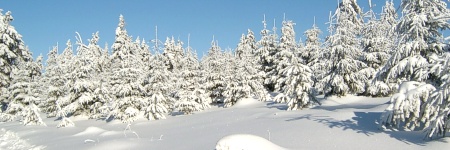 Wellnessurlaub in Altenberg